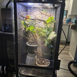 Chameleon Setup