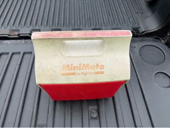 Small cool & lunch bag