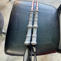 Black diamond hiking sticks