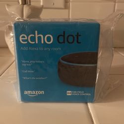 Echo Dot