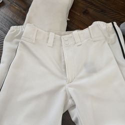 Mizuno Full Length Baseball Pant