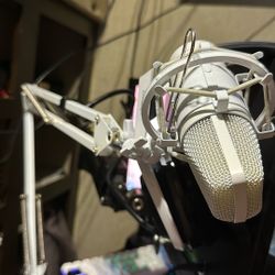 Microphone