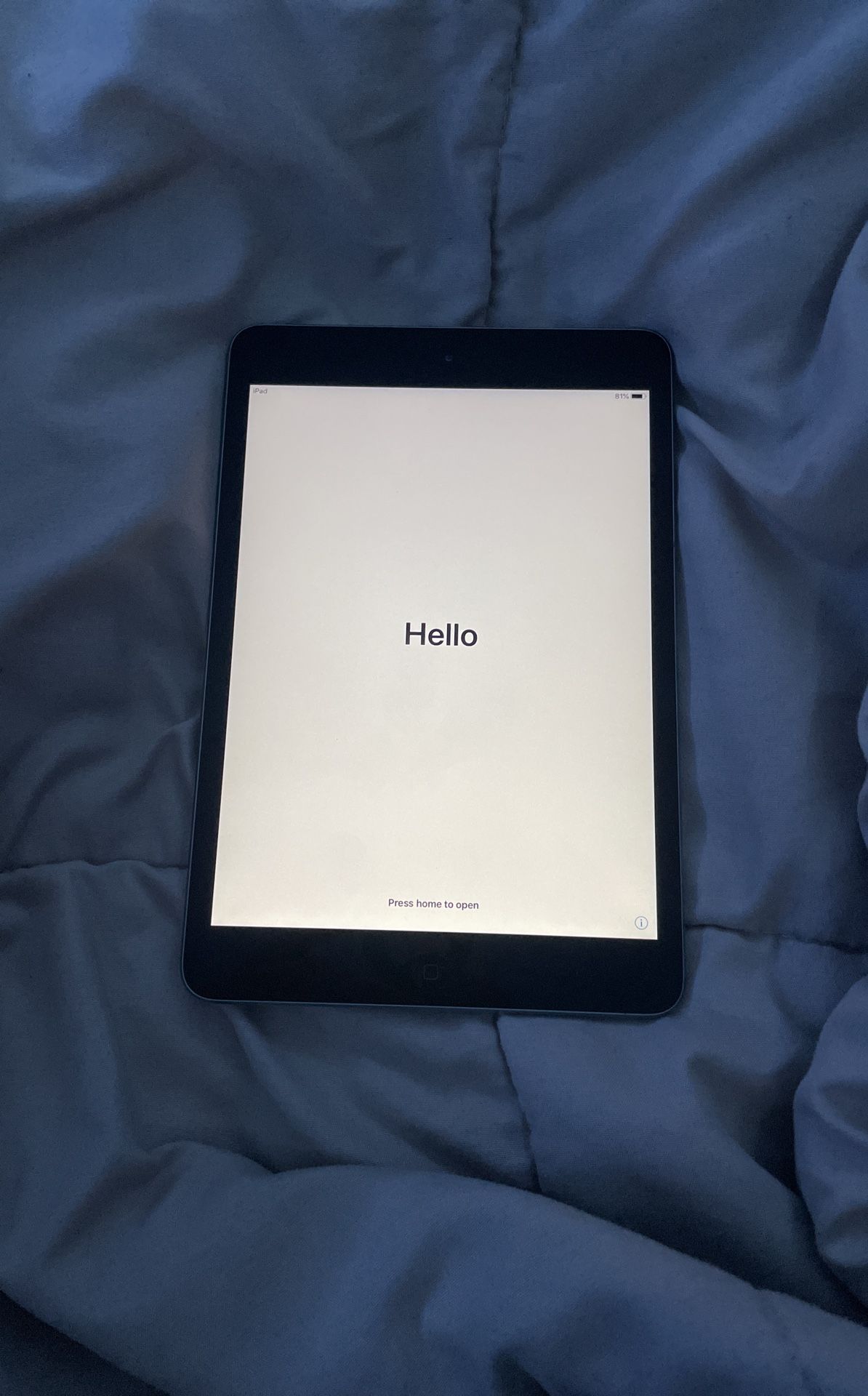 iPad Mini2