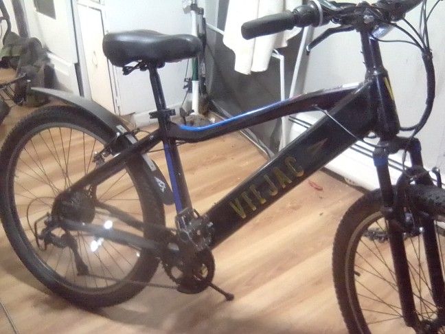 Peddle Assist Electric Bike