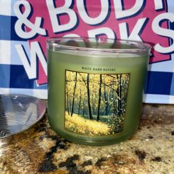 Bath & Body Works Birch wood Trail 3 Wick Candle