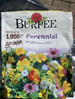 perennial seed mix 