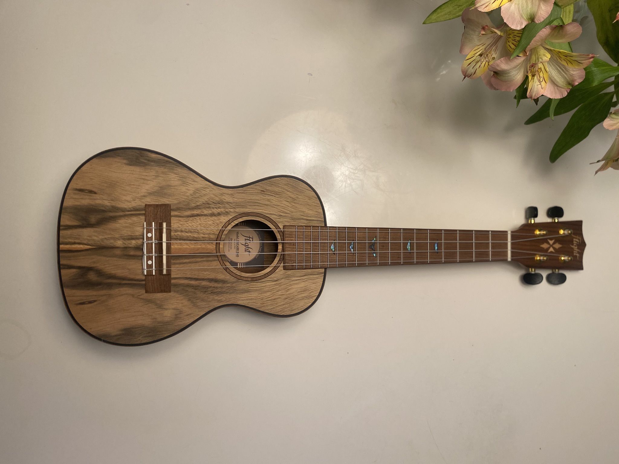Ukulele