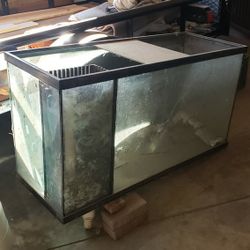 Fish Tank And Cabinet