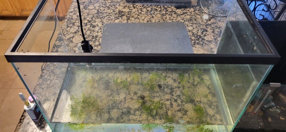 10 Gallon Aquarium With Heater
