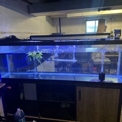  125 Gallon And  220 Gallon Aquarium 