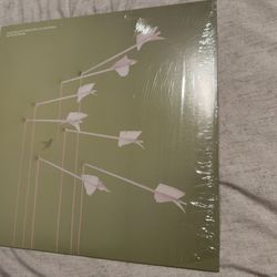 Modest Mouse - Vinyl- Good News For People Who Love Bad News