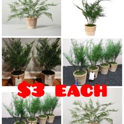 Hearth and Hand Magnolia Faux Fern Fake Plants $3 EACH