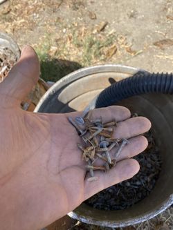 Roffing  Nails 