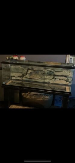 65 Gallon Tank And Stand