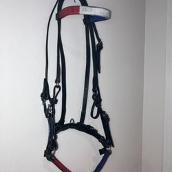 Horse Bridle With Headstall 