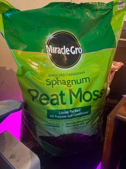 garden soil/moss