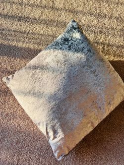 Pillow with cover