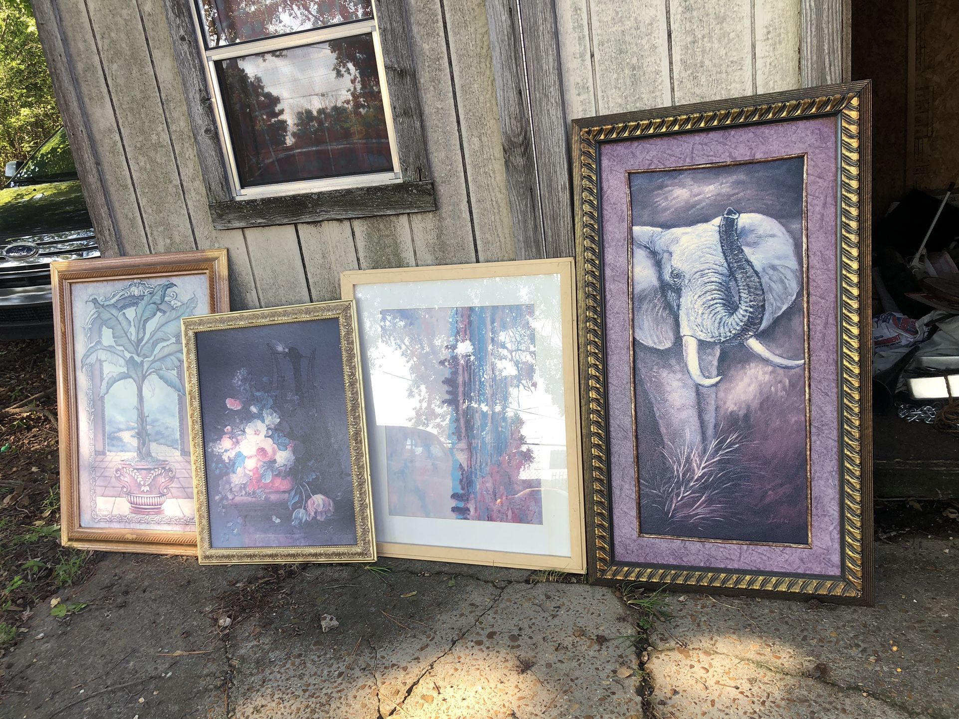 Framed pictures