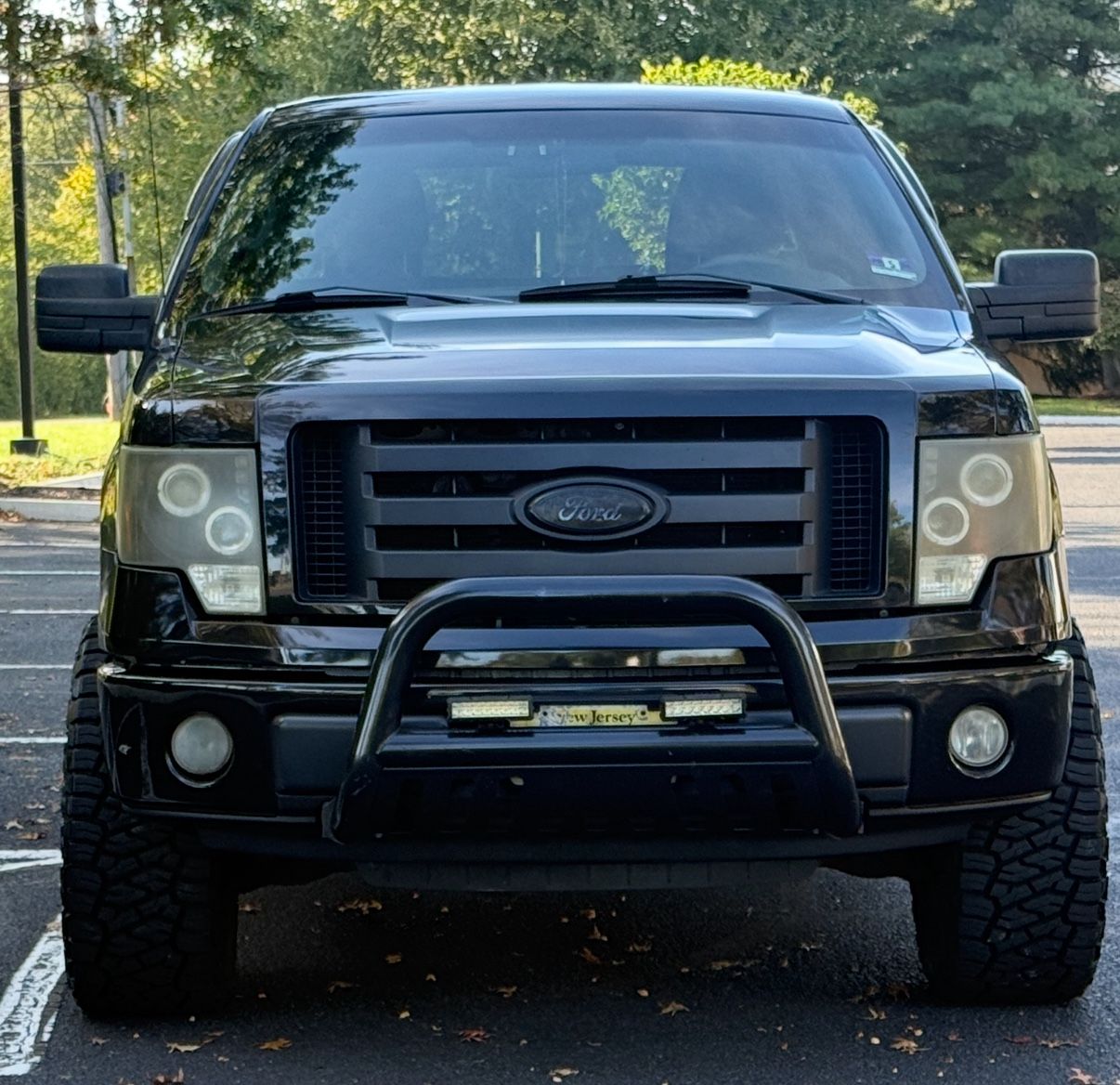 2010 Ford F-150