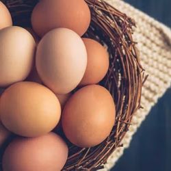 Eggs