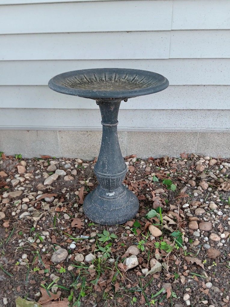 Bird Bath