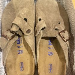 Boston Birkenstocks 
