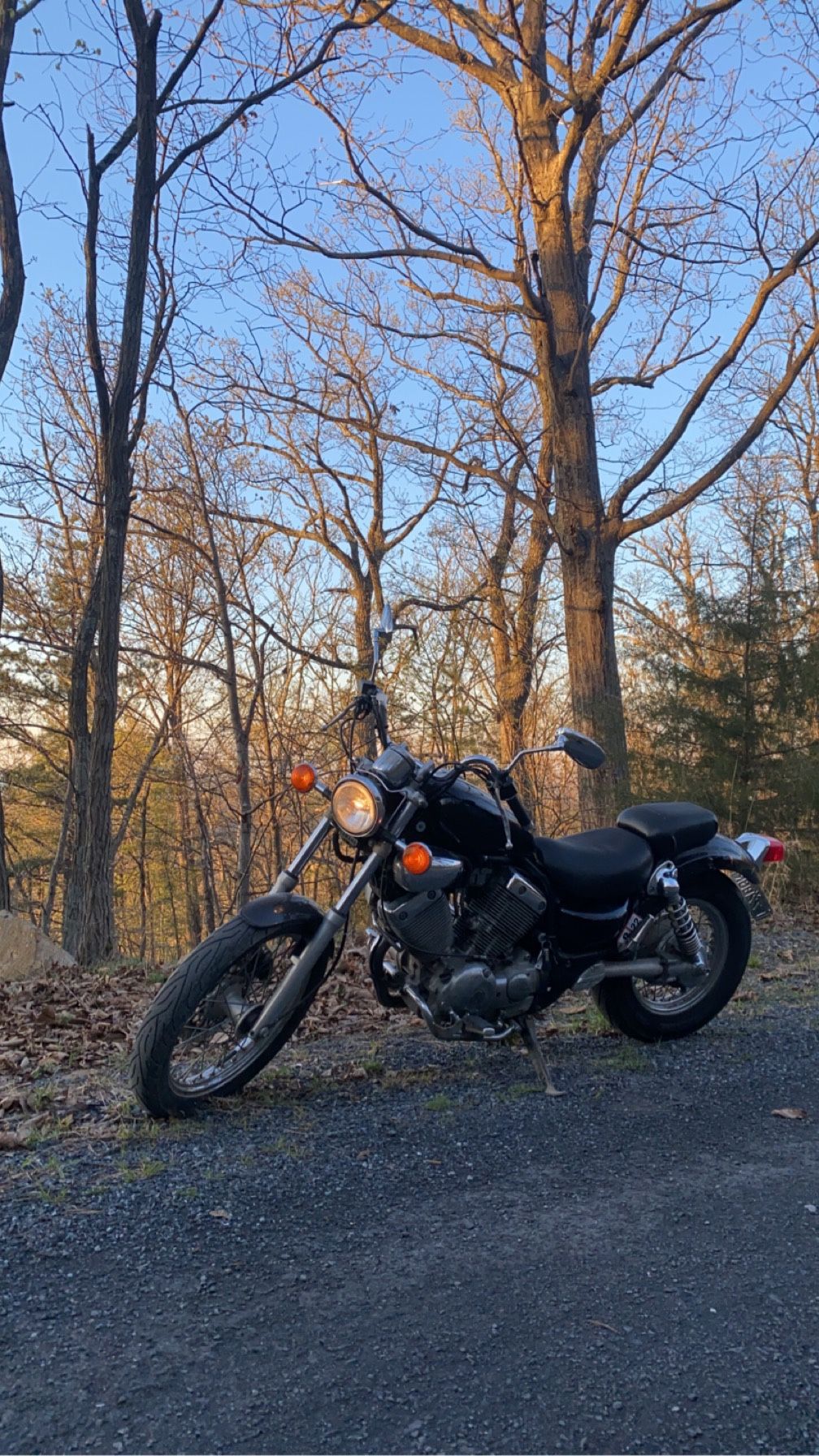 97 Yamaha Virago