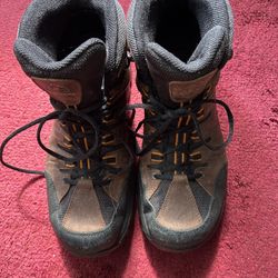 Ecco Hiking Boots