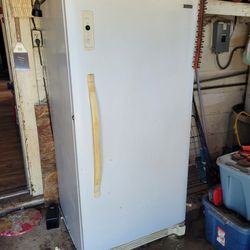 Stand Up Freezer 