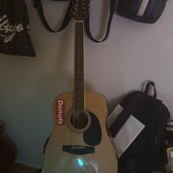 12 string Mitchell Guitar MD-100s