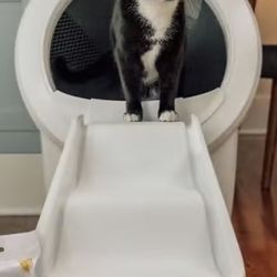 Self Cleaning Litter Box (white)