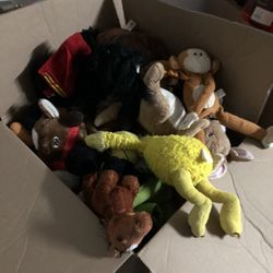 Over 20 Stuffed Animals