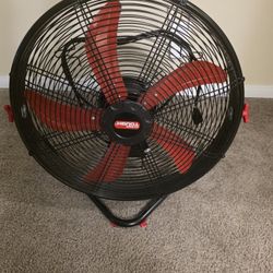 Fan