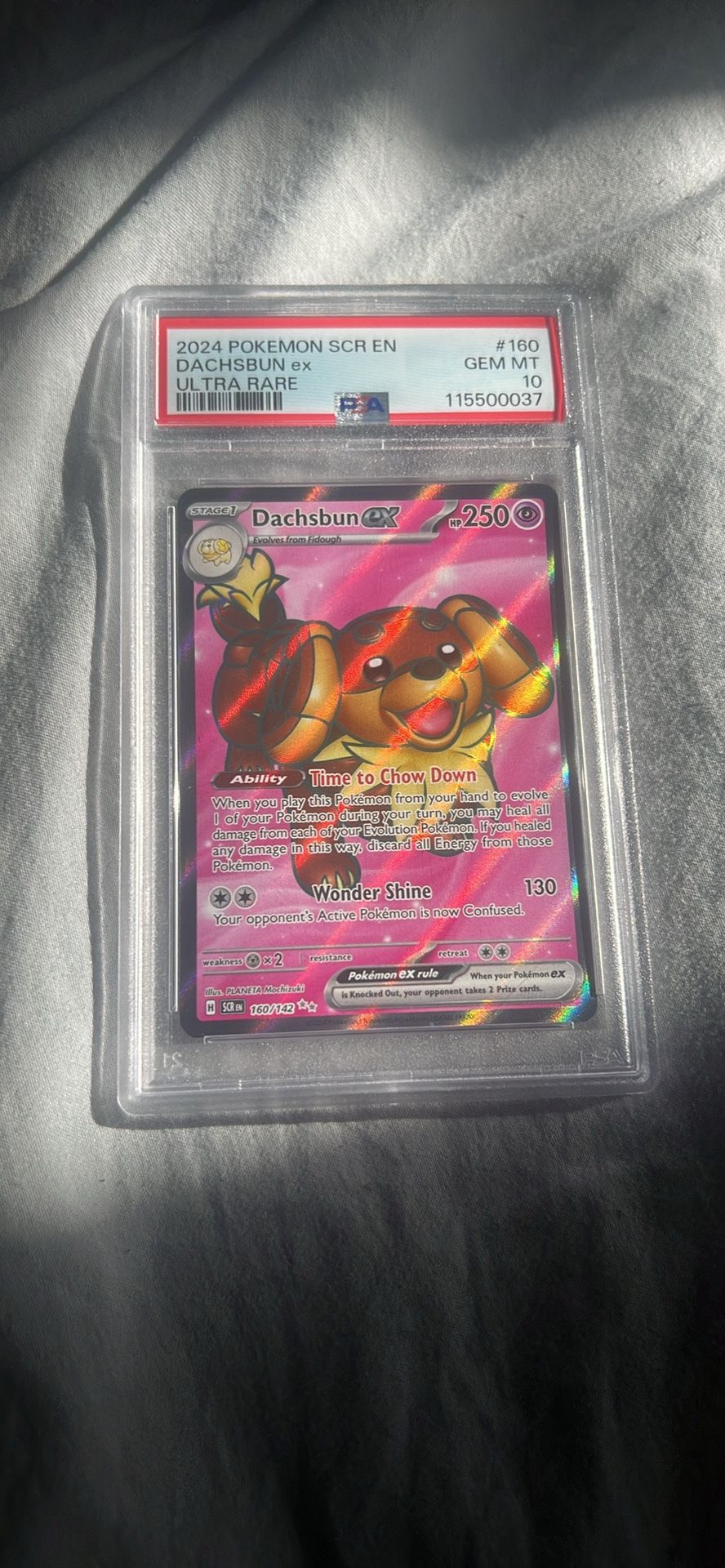 Dachsbun Ex 160. PSA 10 