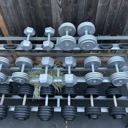 Professional Gym Style Weight Rack With Dumbbells. 