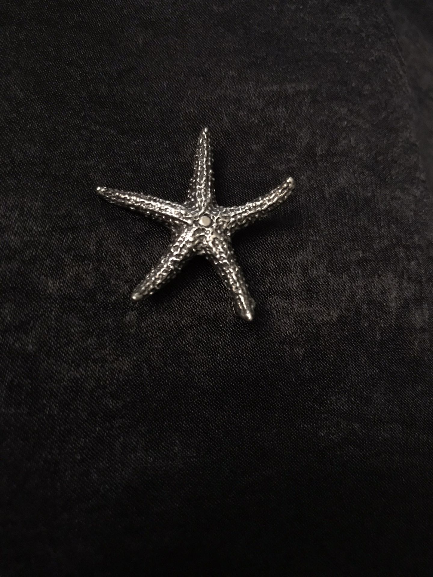 Starfish Pin- Beau sterling