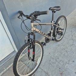 Giant Mountain / Hybrid Bike – Rides Good