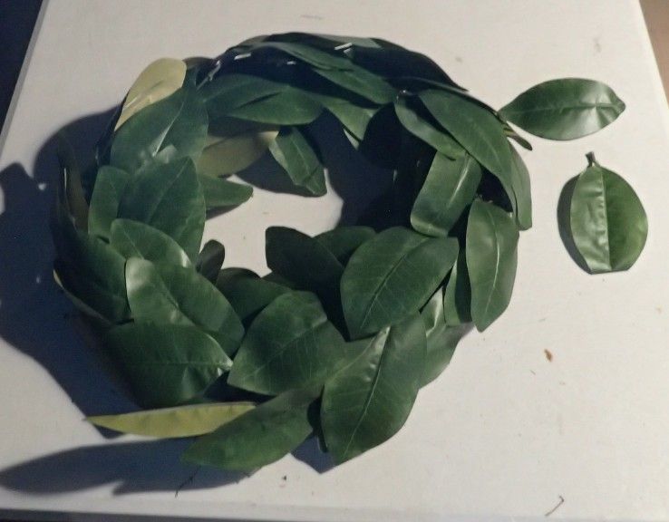 Wreath Wide Green Leaf Wreath 24 inches