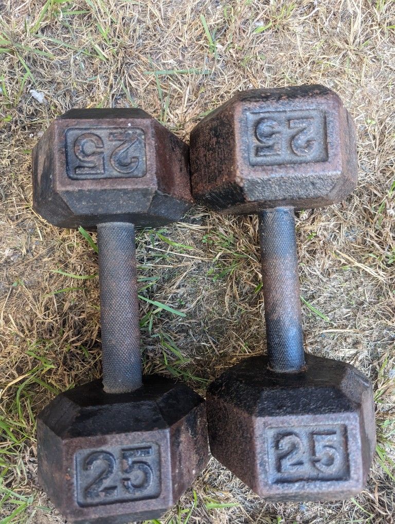 Pair Of 25lb Dumbbells 