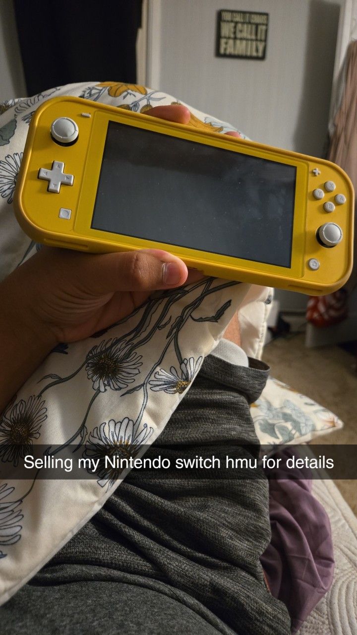 Nintendo Switch Lite