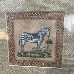 Zebra Matted Picture 