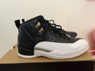 Nike Jordan 12 playoff