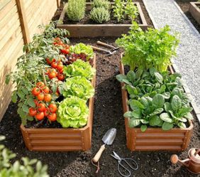 NEW Raised Garden Beds – 2 Complete Beds in Box – $59