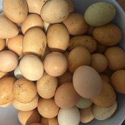 Huevos De Gallina/fresh Chicken Eggs 