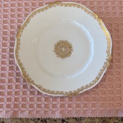 Theodore Haviland Limoges Dinners Plates (2)