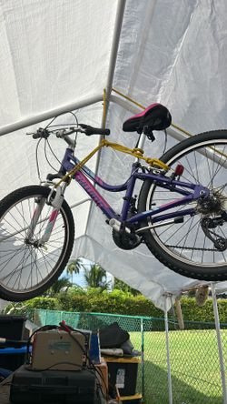 Bicicleta 24”