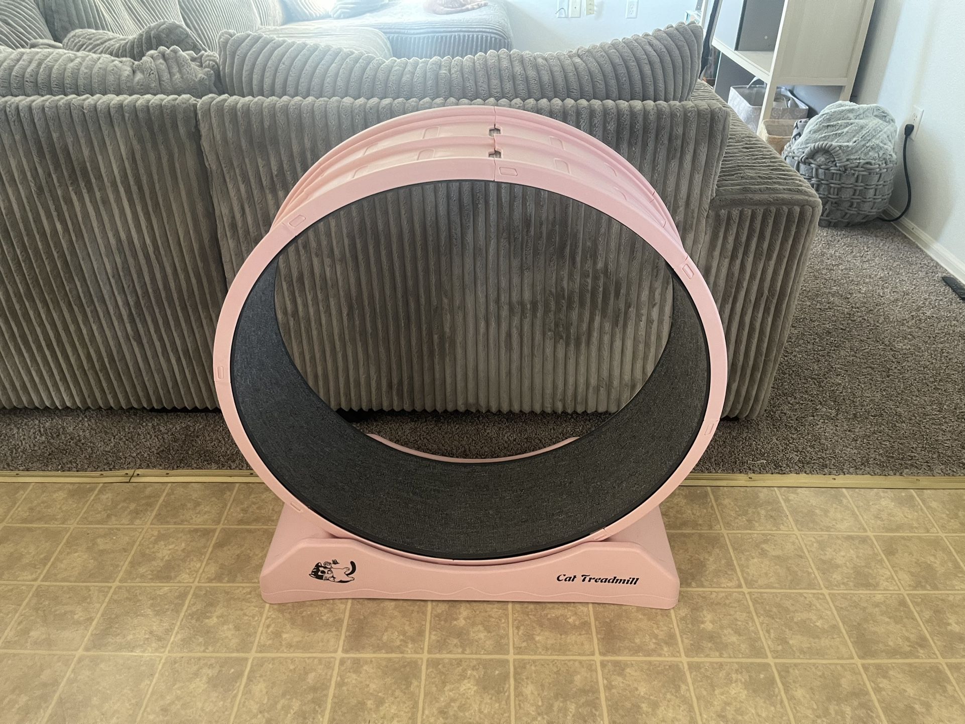 Cat Treadmill