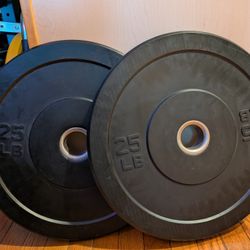 25 Lb Bumper Weight Plates