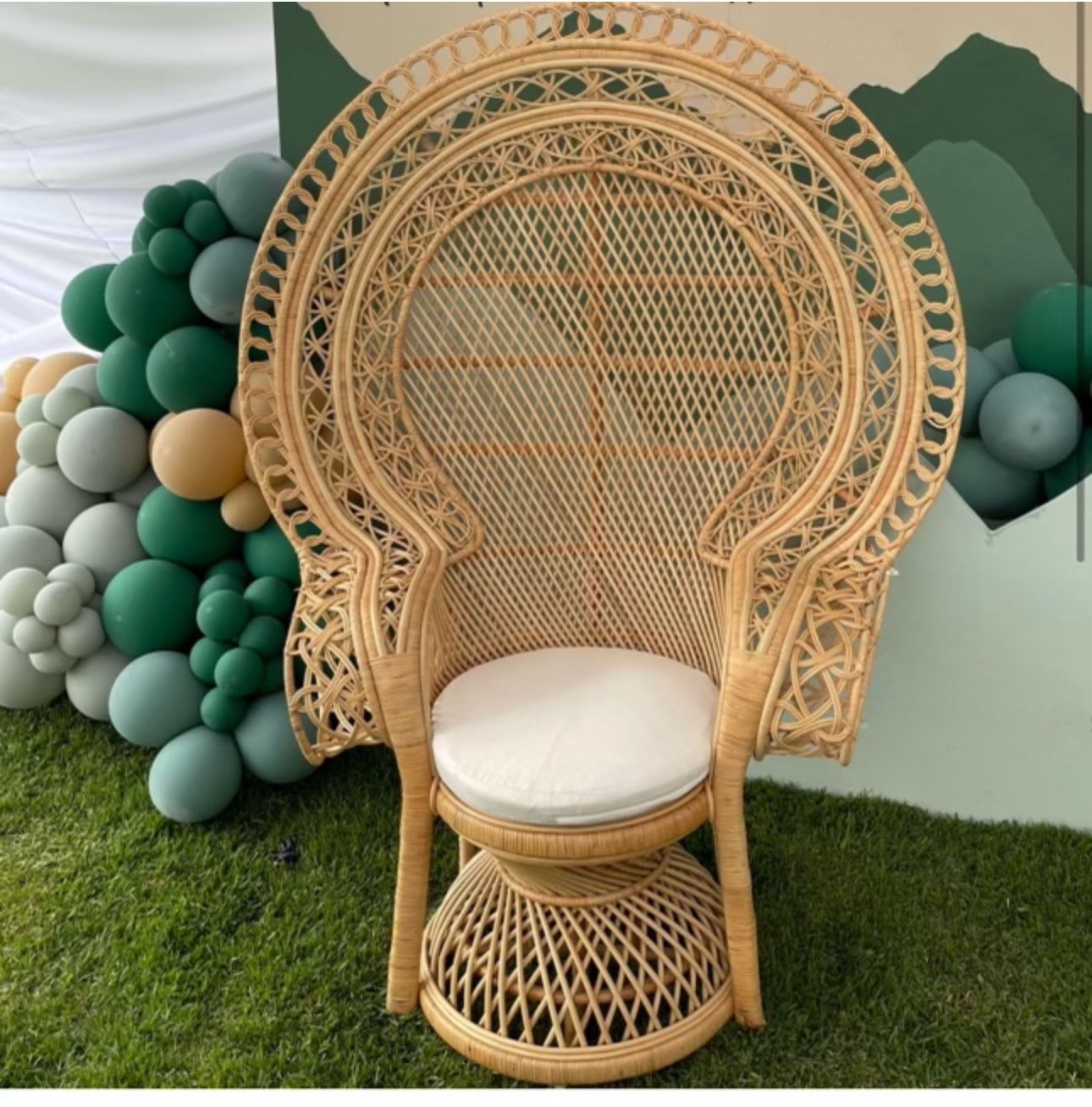 Deluxe Peacock Chair
