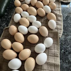 Fresh Eggs Unwashed 